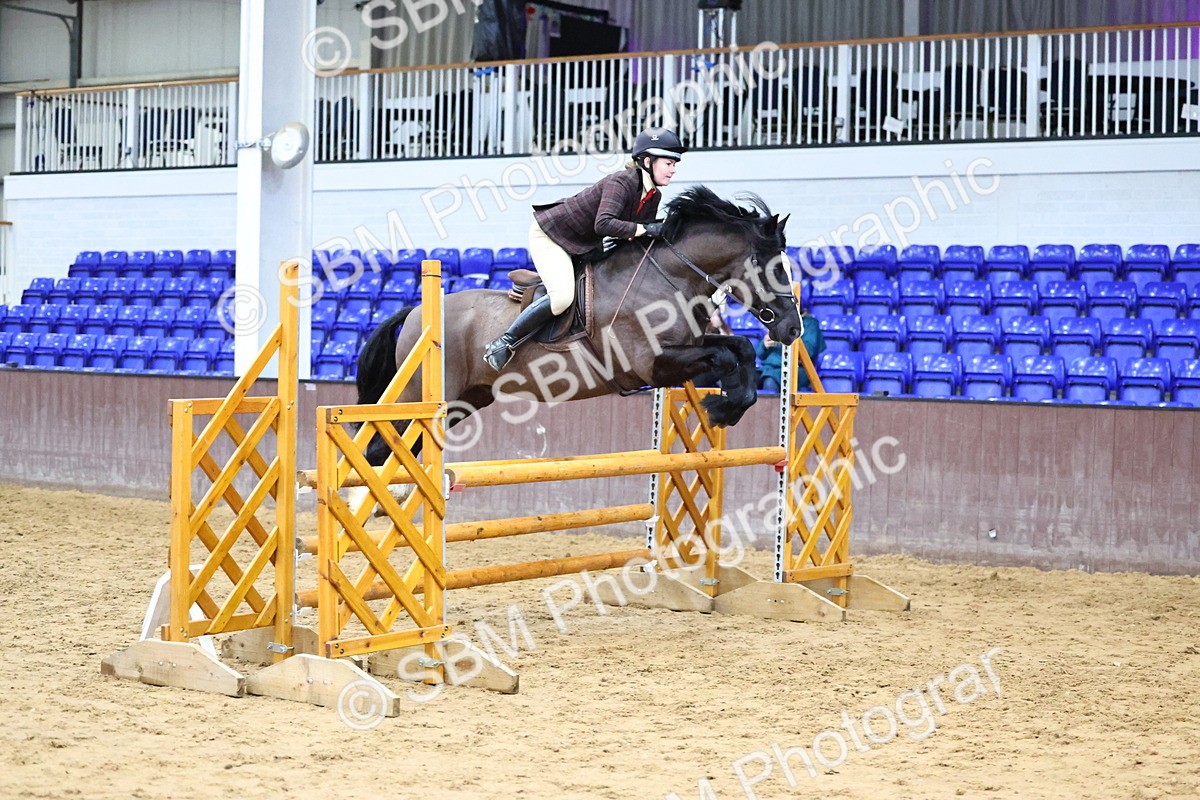 SBM_006569 - Class 43 - RIHS Qualifier Exceeding 43cms