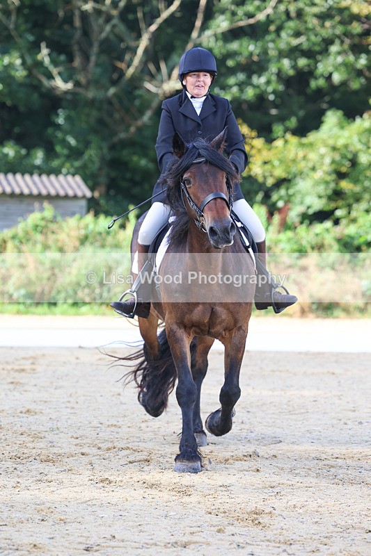 3E7A1859 - Class 1: Intro 4 2024 section A