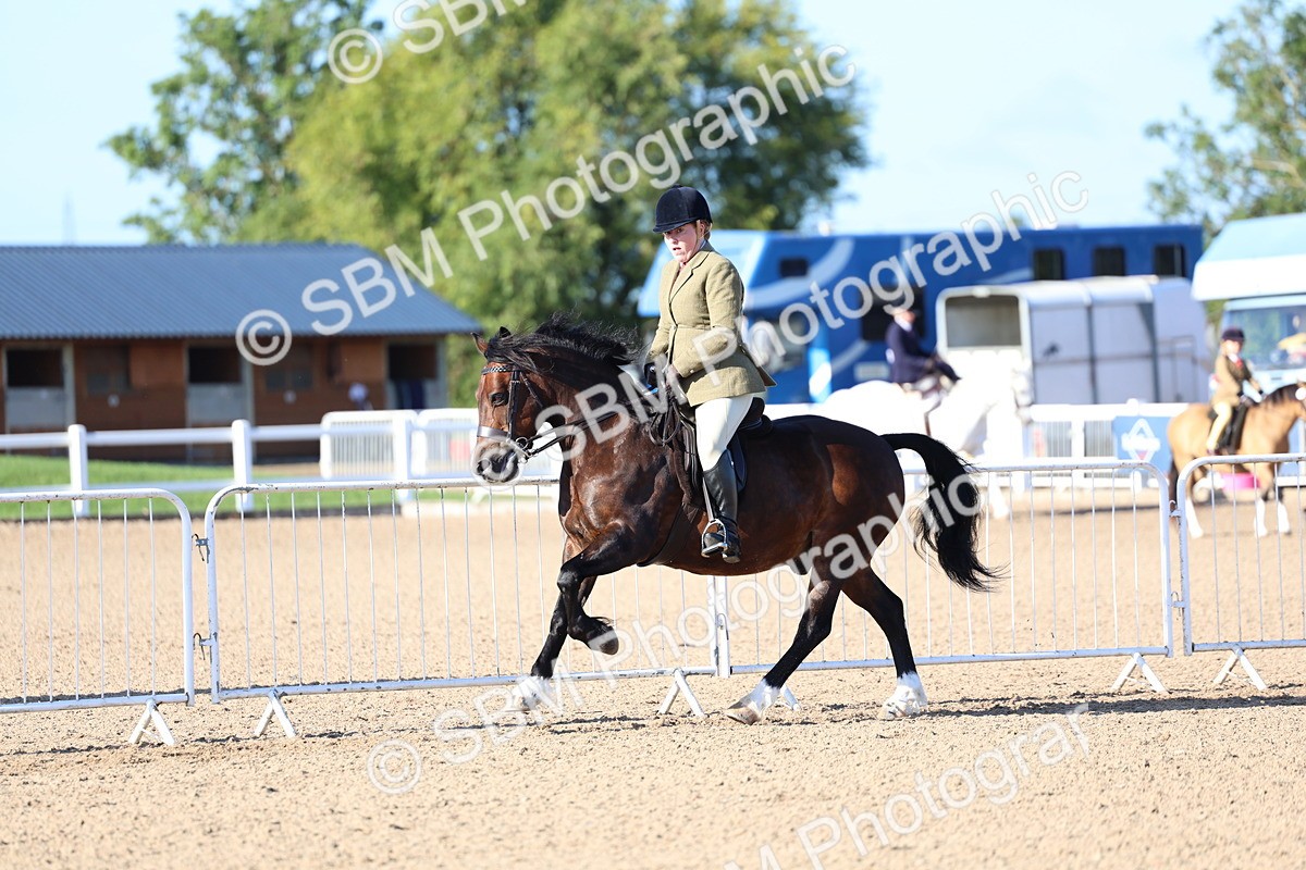 SBM_08790 - Class 302 - Ridden M&M - Large Breeds