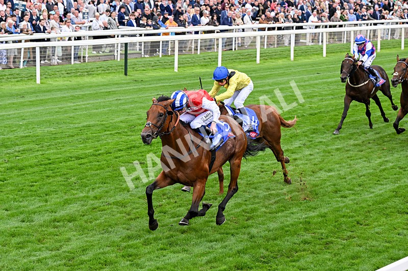 210826-Race 1-Blue Courvoisier-0089 - Race 1 13.50pm Sky Bet Mile Handicap