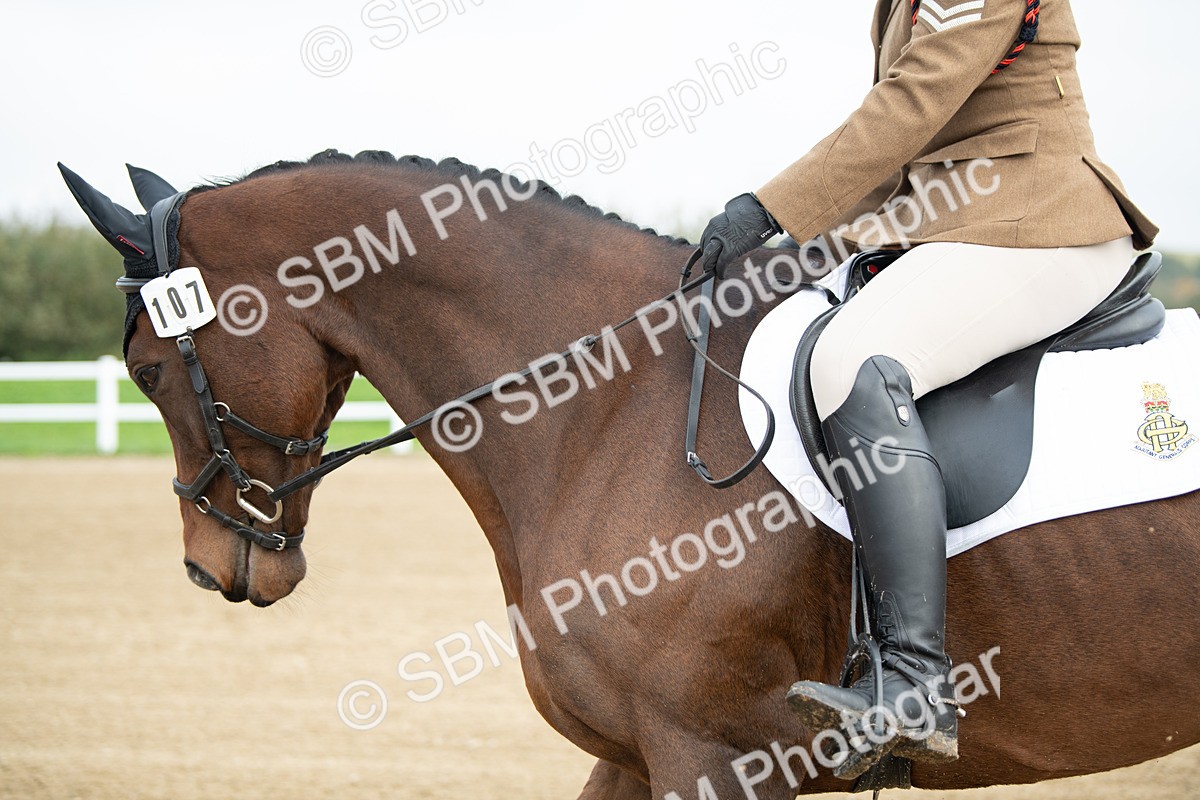 SBM_003532 - Introductory Test 3