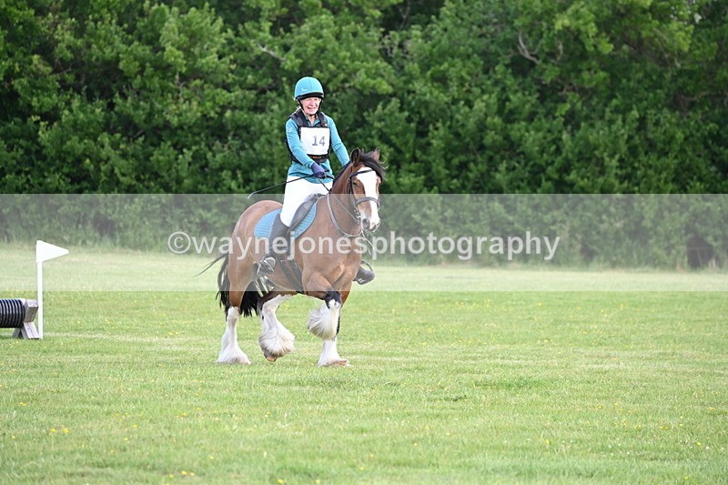 WJ6_2621 - Class 2 40cm