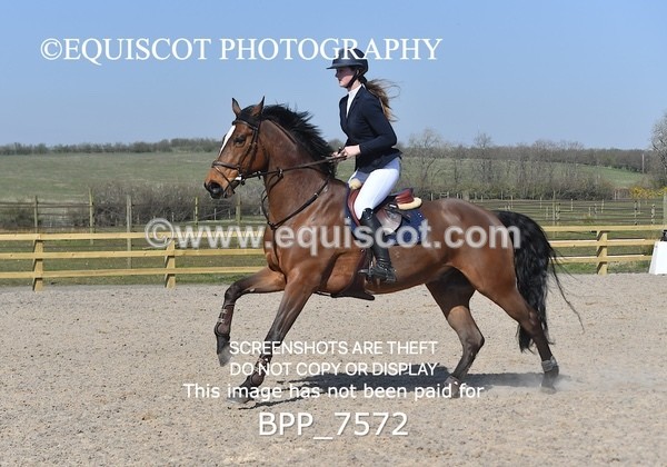 BPP_7572 - CLASS 6  Senior Foxhunter/ 1.20m Open