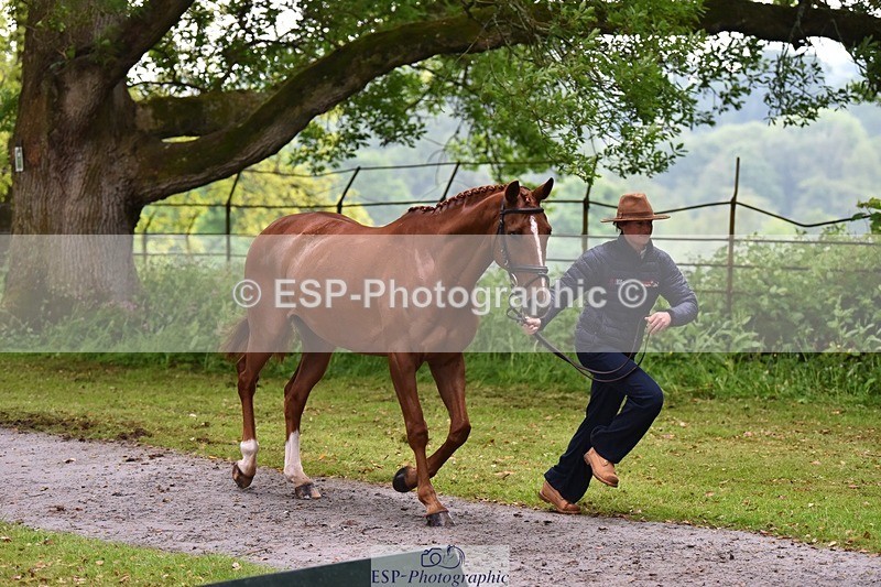 240522-164134-01086 - 216-I'M_A_WONDER-Rosie_Bradley-Hole