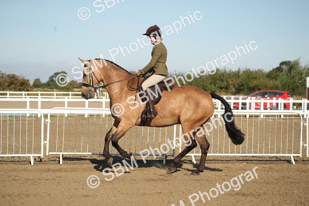 SBM_11322 - Class 501 -Riding Club Pony
