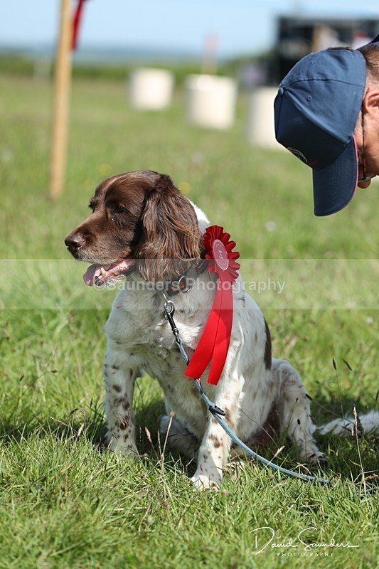 SPXX0609 - Dog show