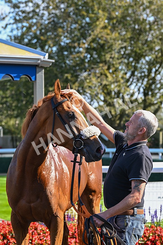 180924-Race 3-Beaujolais Nouveau-4327 - Race 3