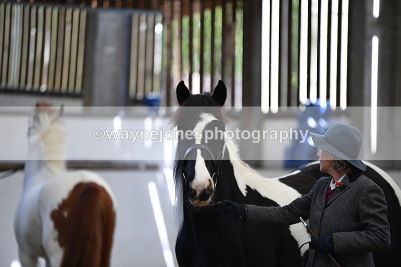 WJ5_5121 - Class 7 In hand coloured / odd coloured