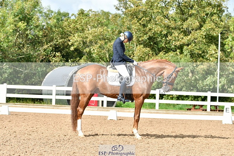 230912A-151919-01539 - Cls 13 Adv Medium 91