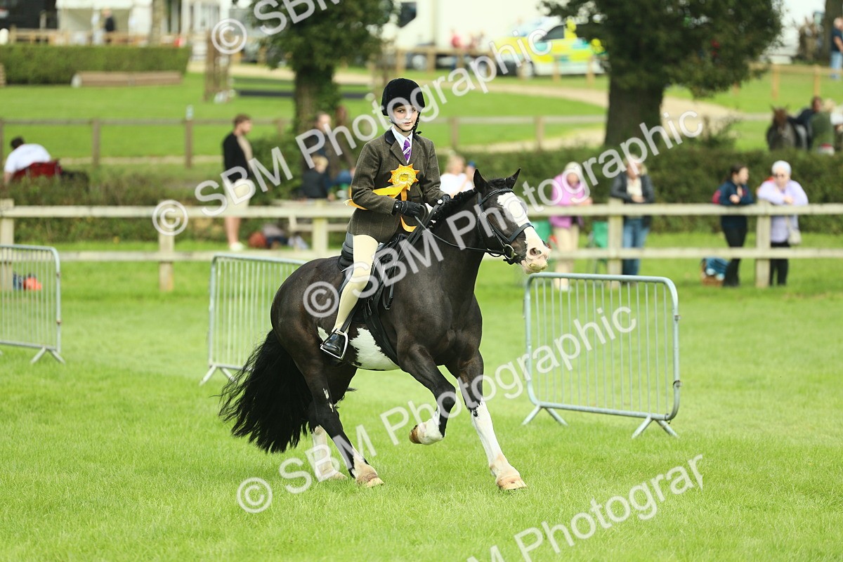 SBM_42265 - S29 - Novice & Newcomers Working Hunter Pony