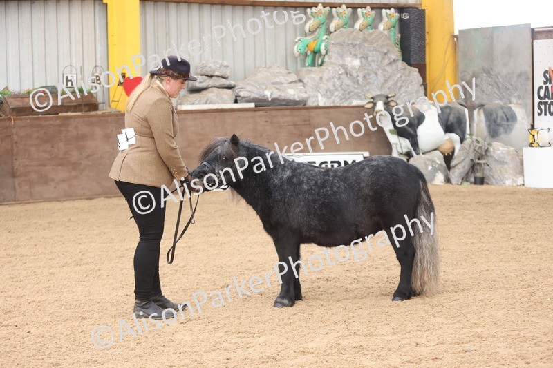 20251109-0033 - Class 3 - 2 and 3 Year Old