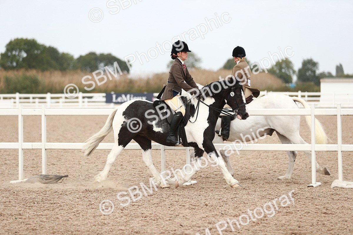 SBM_16626 - Class 214 Ridden Cob