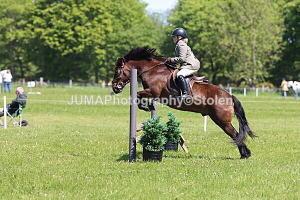 IMG_3611 - Working Hunter