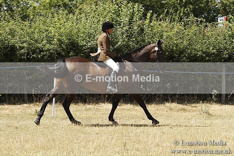 _BS_0886 - BVRC Show 2018 Ring 1