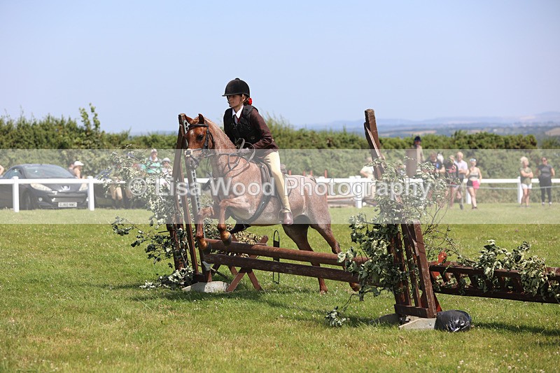 JPP_2443 - Class 21: Working Hunter 60cm