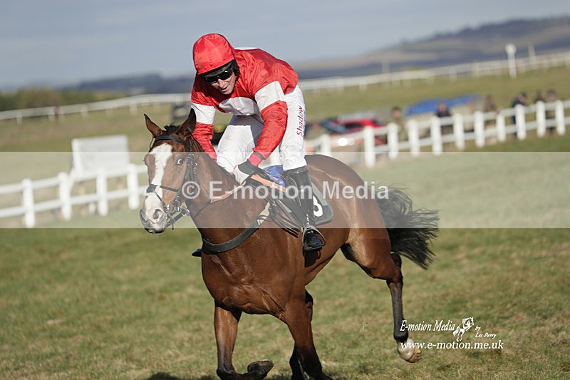 PtP 260223 1200 - South & West Wilts Point-to-Point Larkhill 26/02/23