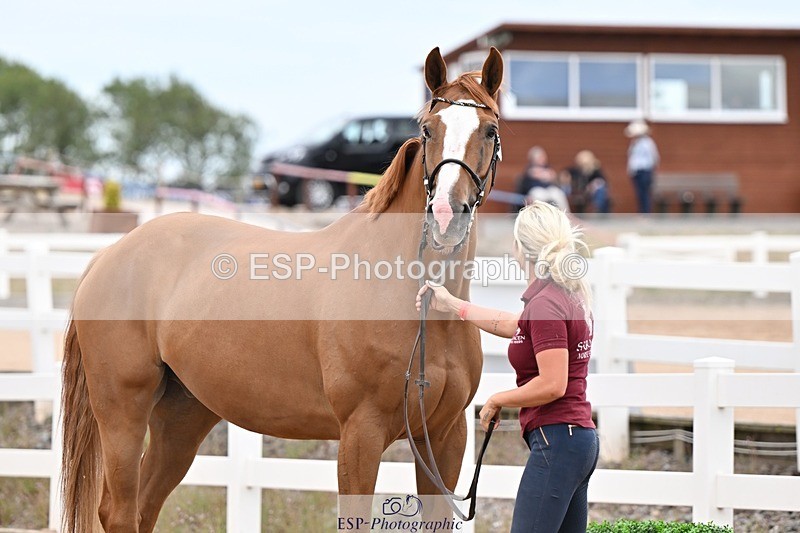 250716-160319-02373 - Trot Up 3.30 to 4.30