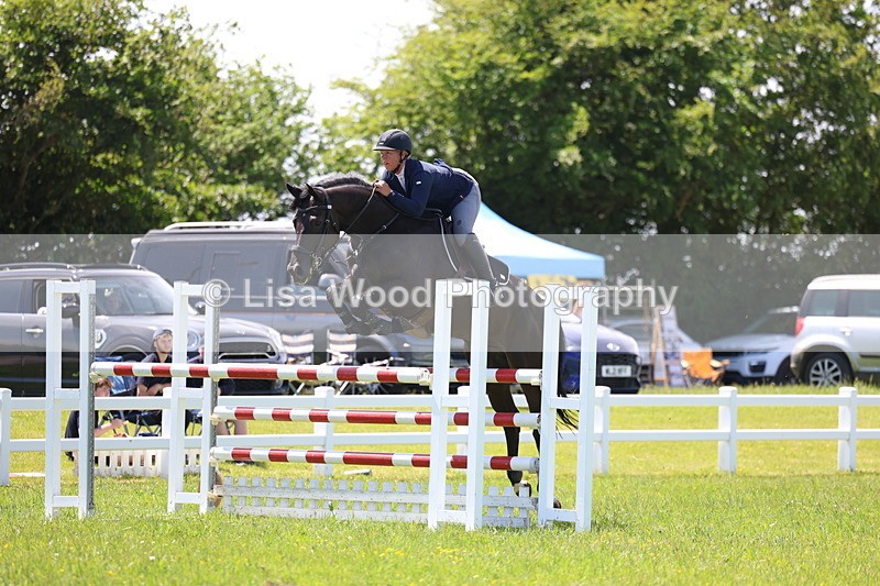 3E7A1223 - Class 12: Senior Foxhunter/1.20 open