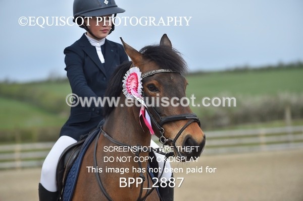 BPP_2887 - CLASS 1 Springboard 128cm/ 138cm