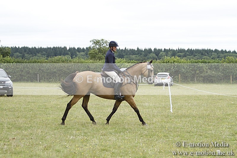 BVR160717-953 - Ring 3 BVRC Show 16/07/17