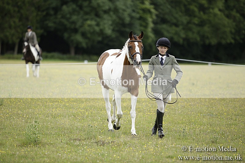 BVR160717-849 - Ring 2 BVRC Show 16/07/17