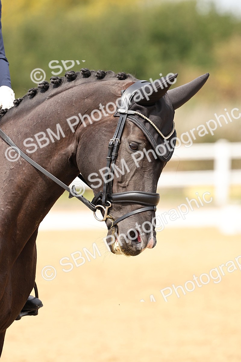 SBM_013142 - Class 3 - Novice 4 - 11.43-12.25