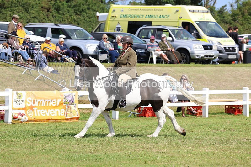 3E7A9744 - Class 5: Rising Star Lightweight/Heavyweight Cobs