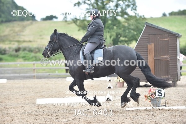 JAC_6403 - ELEMENTARY