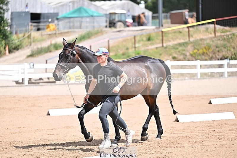 250716-125126-00203 - Trot Up 12.30 to 1.30
