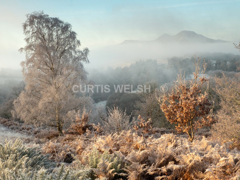 Cold Snap - SCOTTISH BORDERS