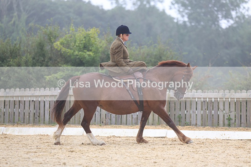 3E7A6876 - Class 5: Prelim to Music