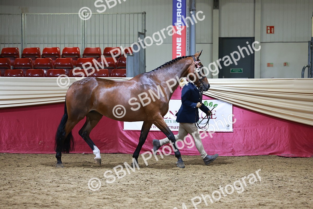 SBM_20320 - Class E - Best Turned Out Champ