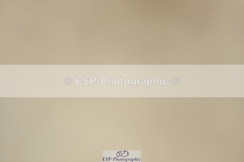 230701A-112814-04967 - Cls 9 Music Elementary