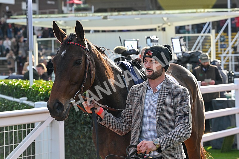 241025-Race 4-Jaminska-3536 - Race 4