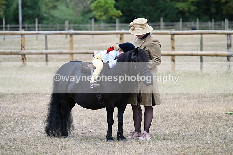 WJ7_8388 - Class 4 Prettiest Mare up to 14.2hh