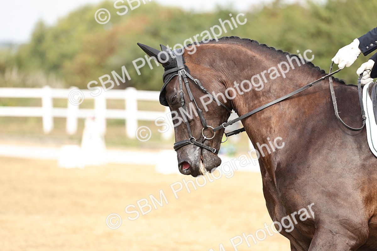 SBM_012476 - Class 2 - Prelim 5