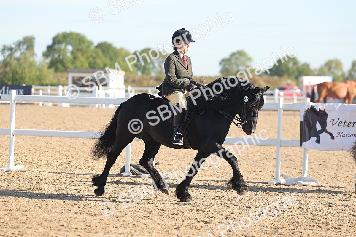 SBM_10956 - Class 302 - Ridden M&M Large Breeds