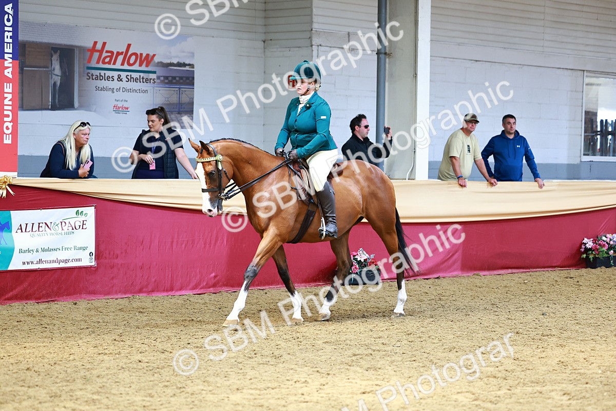SBM_23817 - Class 905 - Supreme Final - Ridden Veteran