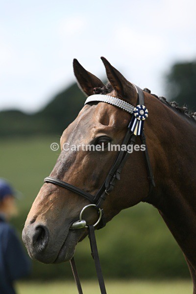 MB_77813 - MBRC Ridden July 2015