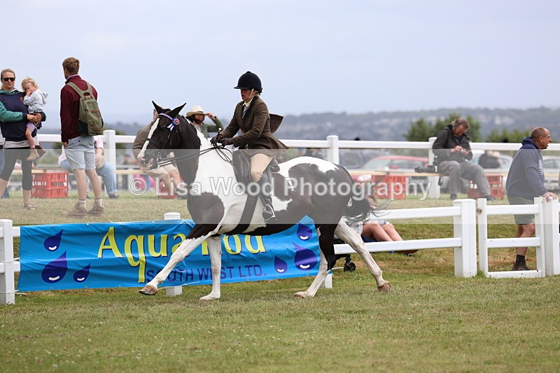 3E7A1030 - Class 8: Open Riding Horse/Hack