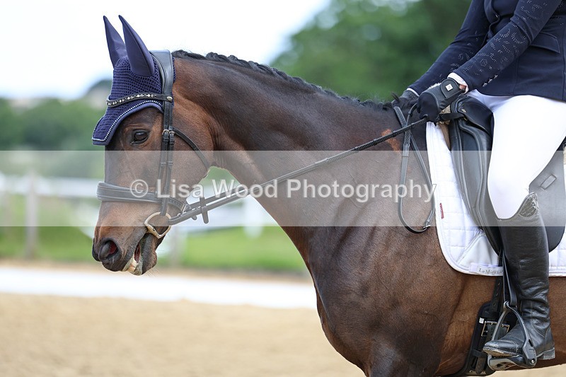 3E7A8727 - Class 1: Intro 1 2024 Section A