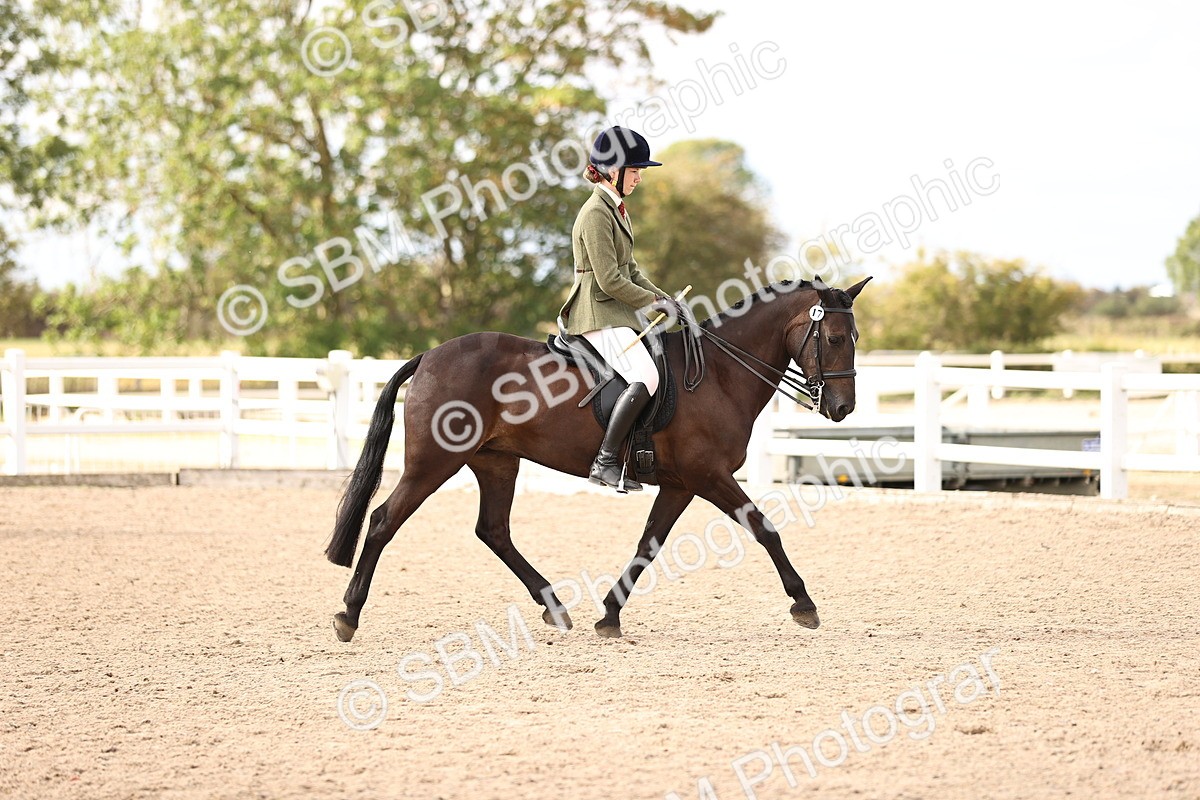SBM_18143 - Class 423 - Equitation (best rider) Adult