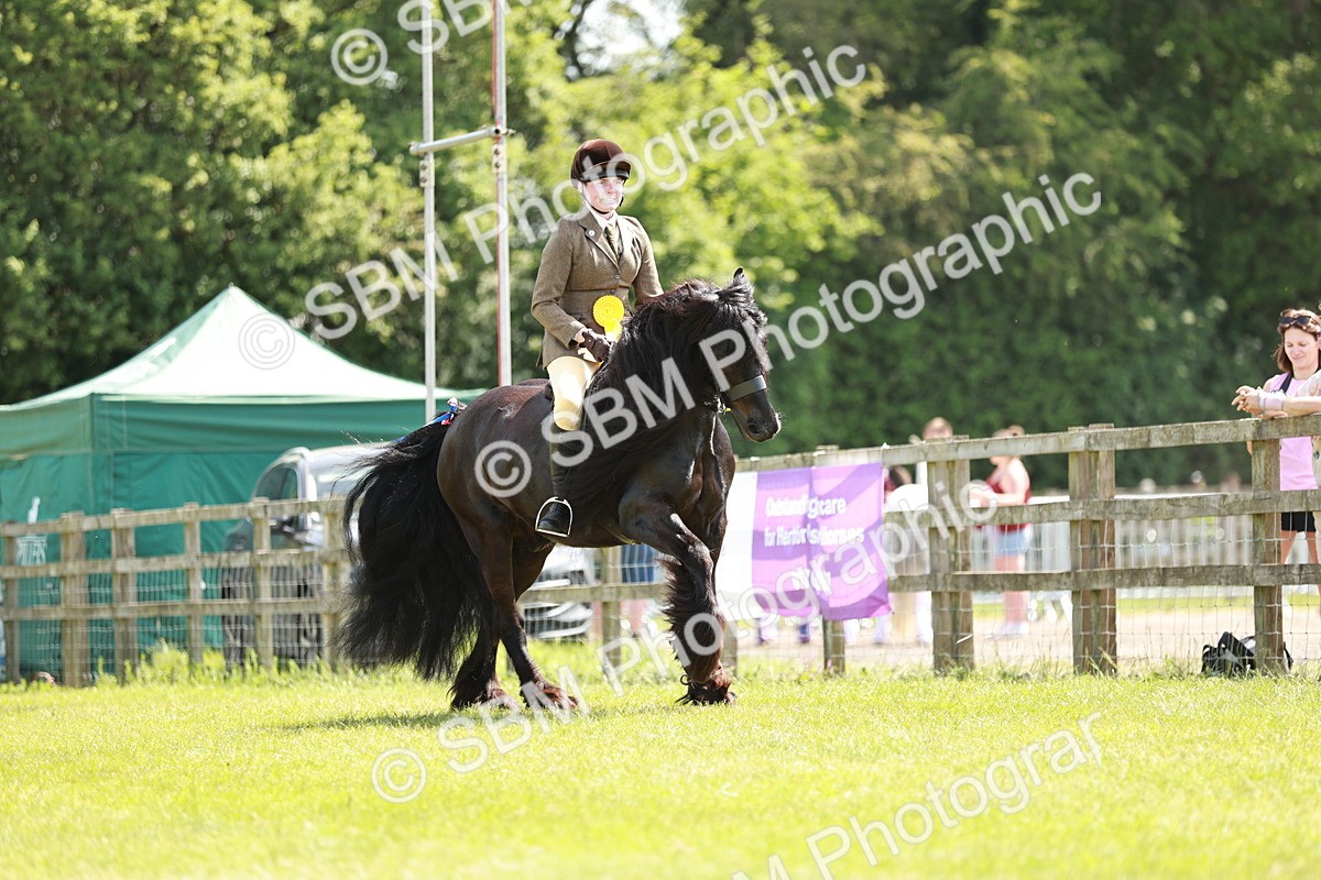 SBM_07229 - Class 26-30 - Mountain and Moorland Ridden