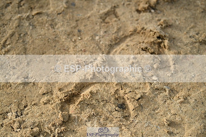 251004A-165408-02278 - Classes 10 & 11 80cm