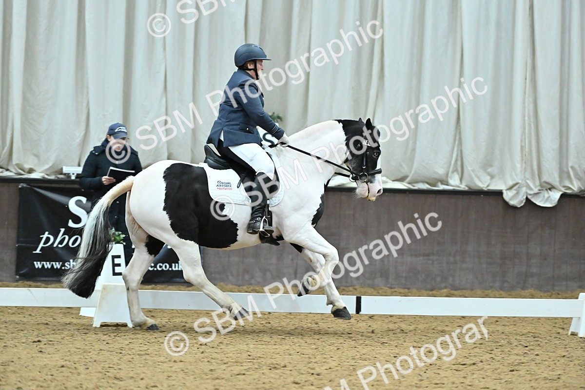 SBM_007406 - Class 81 - Novice 3