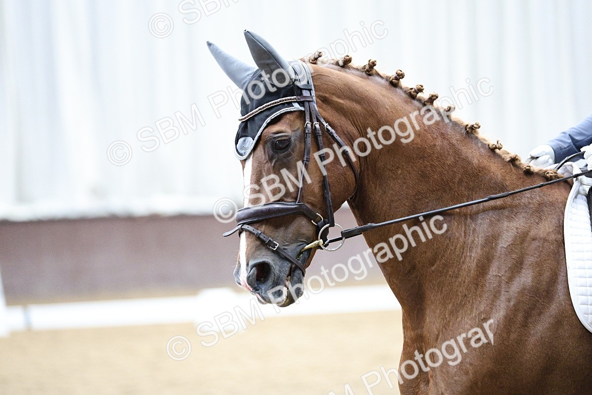 SBM_001266 - Class 5 - Novice 6