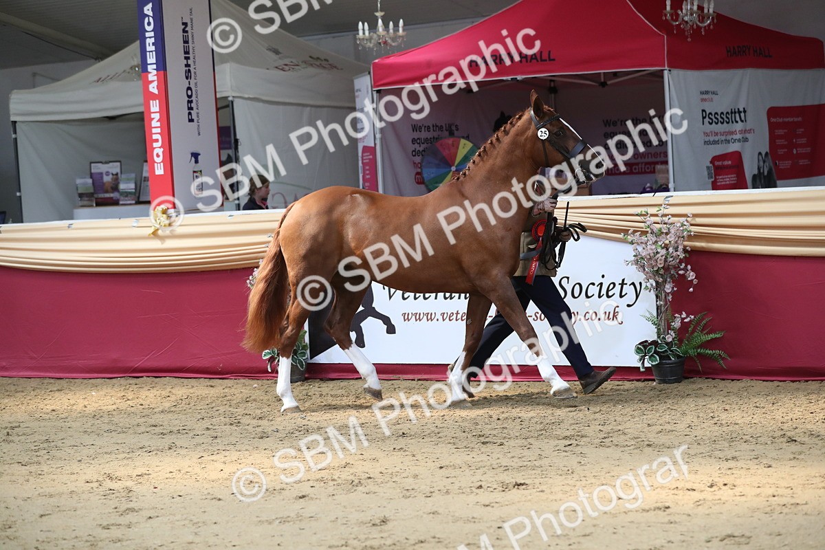 SBM_04492 - Class 7R Regional - IH Diamond