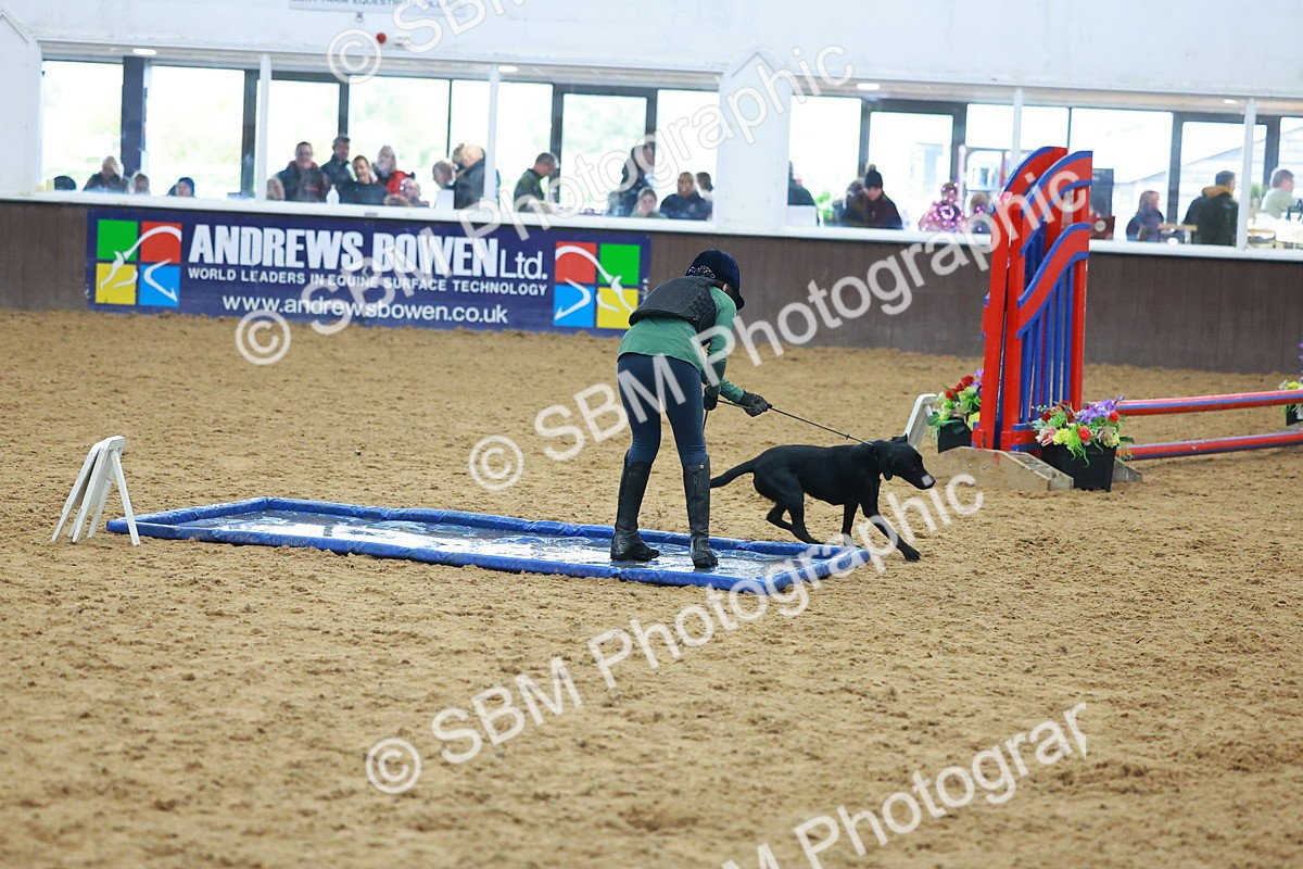 SBM_002417 - Class 3 - Horse & Hound (60cm)