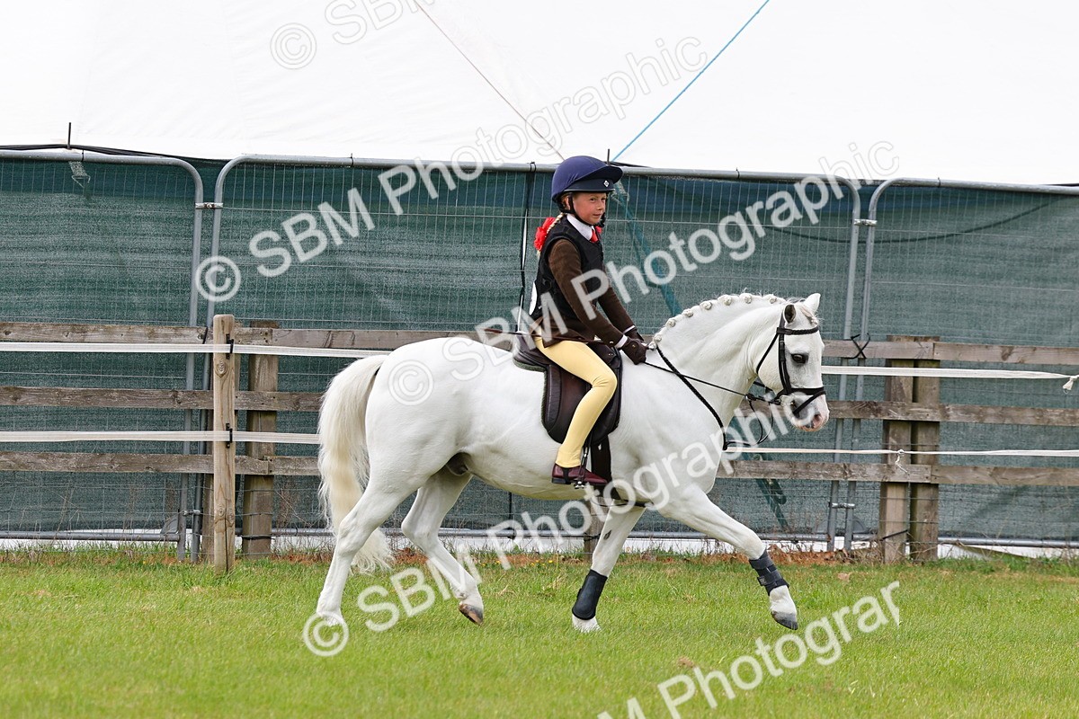 SBM_09577 - Class 44-45 - LIHS BSPS Open Nursery and Cradle Stakes