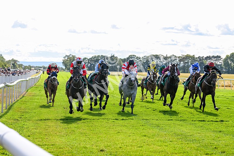 020725-Race 7-Manila Scouse-3238 - Race 7